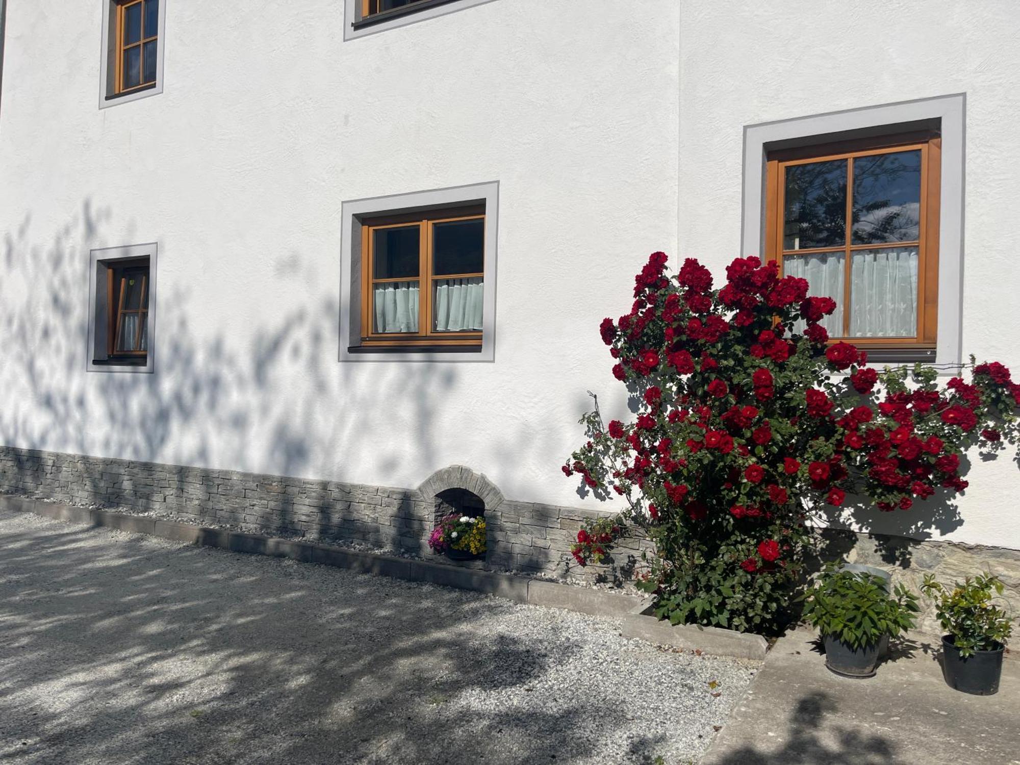 Landhaus Ganzer Niedernsill Ngoại thất bức ảnh